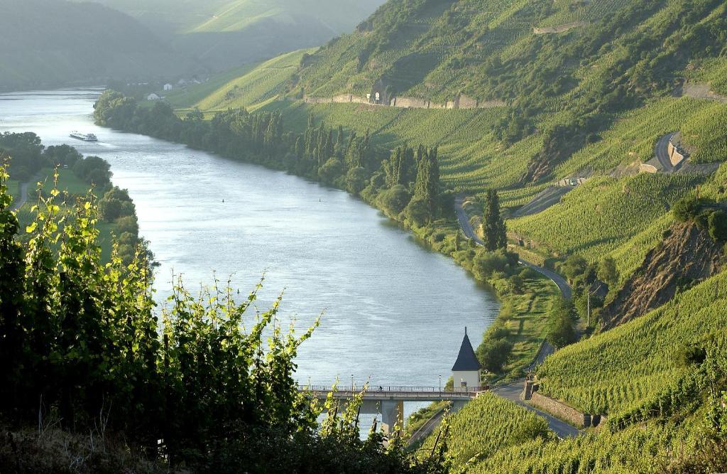 Ernst Cluesserath Weingut & Weinhotelchen 特里特海姆 外观 照片